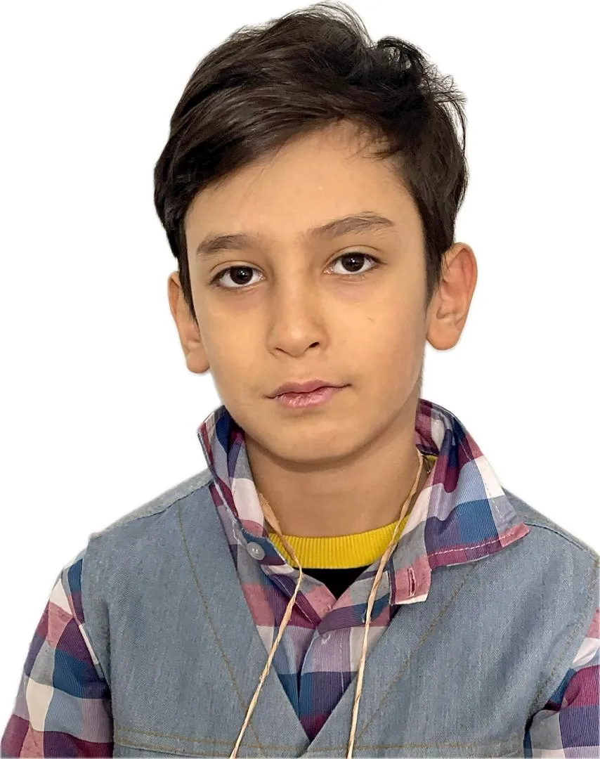 ﻣﻬﺪﯼ ﺁﻗﺎﺟﺎﻧﯽ